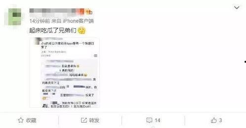 吃瓜群众爆料网站大全最新,最新吃瓜群众爆料网站大全，一网打尽热门资讯！