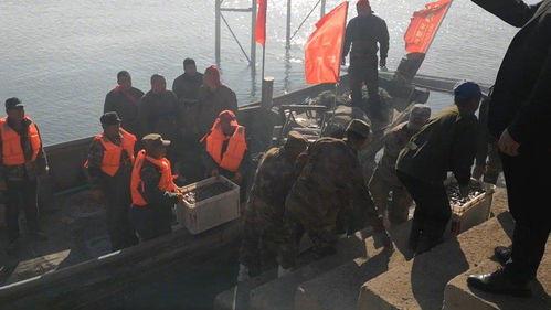 瓦房店新闻爆料事件最新,真相揭晓，背后故事引关注