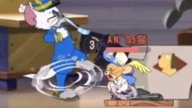 最新老鼠爆料视频大全,揭秘动物界的秘密生活