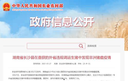 猪瘟最新爆料新闻联播,猪瘟疫情进展及防控措施详解