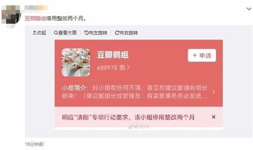 沧州八卦爆料事件最新,揭秘事件背后惊人真相
