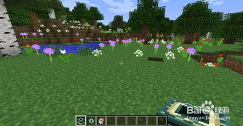 我的世界最新爆料末地,揭秘Minecraft最新爆料中的神秘末地世界