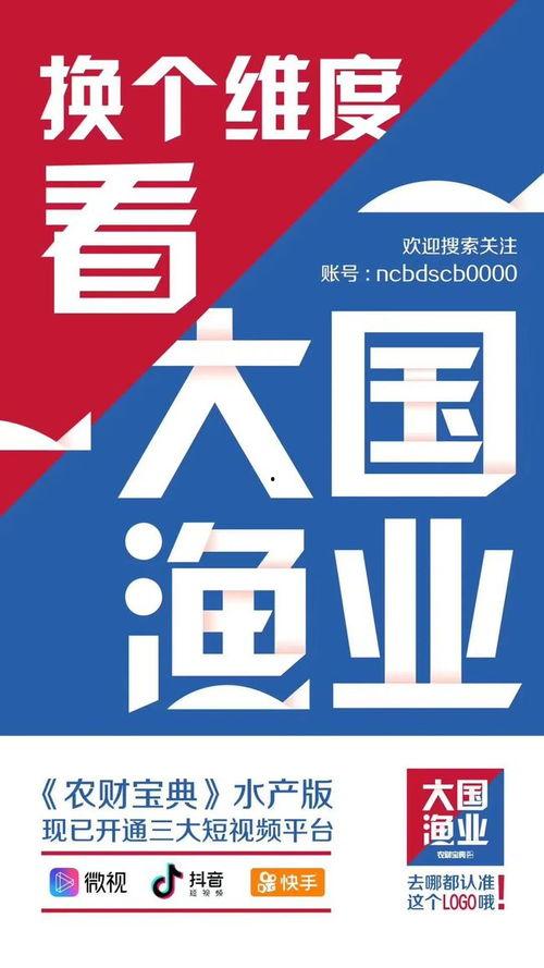 大国爆料资讯最新消息视频,最新资讯视频深度解析