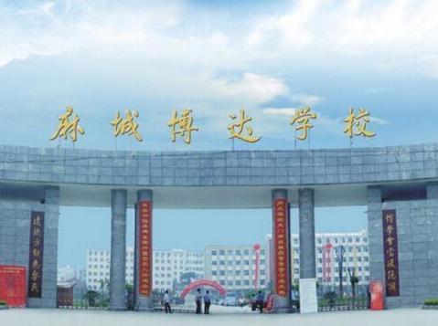 博达学院最新爆料,揭秘学院内部惊人真相！