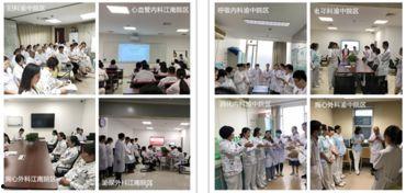 医科大学爆料事件最新,揭开校园腐败与学术不端黑幕