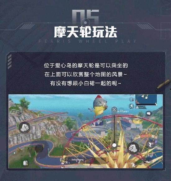 迷蝶岛最新爆料,神秘岛屿背后的惊天秘密揭晓