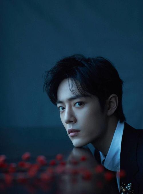 陈昊宇肖战最新爆料视频,幕后故事与精彩瞬间